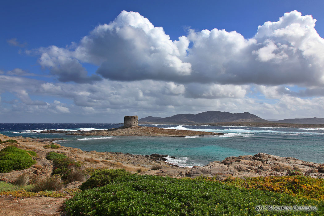 Paesaggio naturale di Stintino