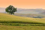Paesaggio toscano