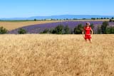 Campagne francesi