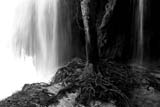 Albero della cascata