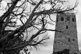 Torre di vedetta