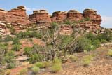 Rocce presso Elephant Canyon
