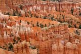 Particolare del Bryce Canyon