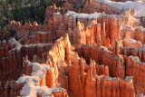 Particolare degli hoodoos del Bryce
