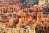 Altro particolare del Bryce Canyon