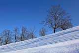 Armonia invernale