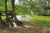 Un'oasi di relax e di pace all'interno del giardino all'inglese (Reggia di Caserta)