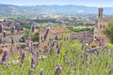 Scorcio di Gubbio dalle mura