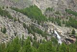 Alberi e corsi d'acqua del parco