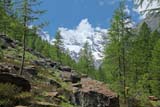 La natura del parco del Gran Paradiso