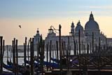Scorcio della Basilica di Santa Maria della Salute