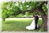 Servizi di Matrimonio Servizi di Matrimonio