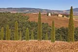 I cipressi salutano Vitaleta