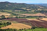 Paesaggio di Montefollonico