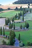 La strada dei cipressi