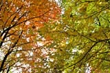 Ottobre si veste di colori