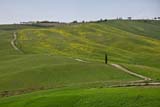 La stradina sulle colline