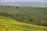 Vitaleta in Primavera