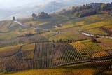 Incantevoli paesaggi delle Langhe