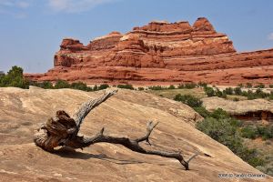 Panorami di Canyonlands