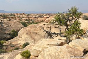 Panorami di Canyonlands