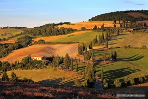 Strada collinare con cipressi