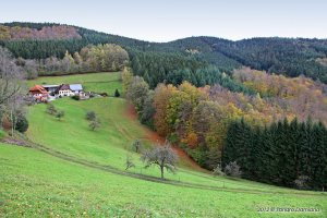 La casa nella Foresta