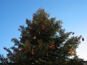 Albero di Natale nella piazza principale di Bolzano