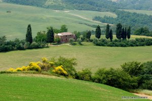 Colline e casolare toscano